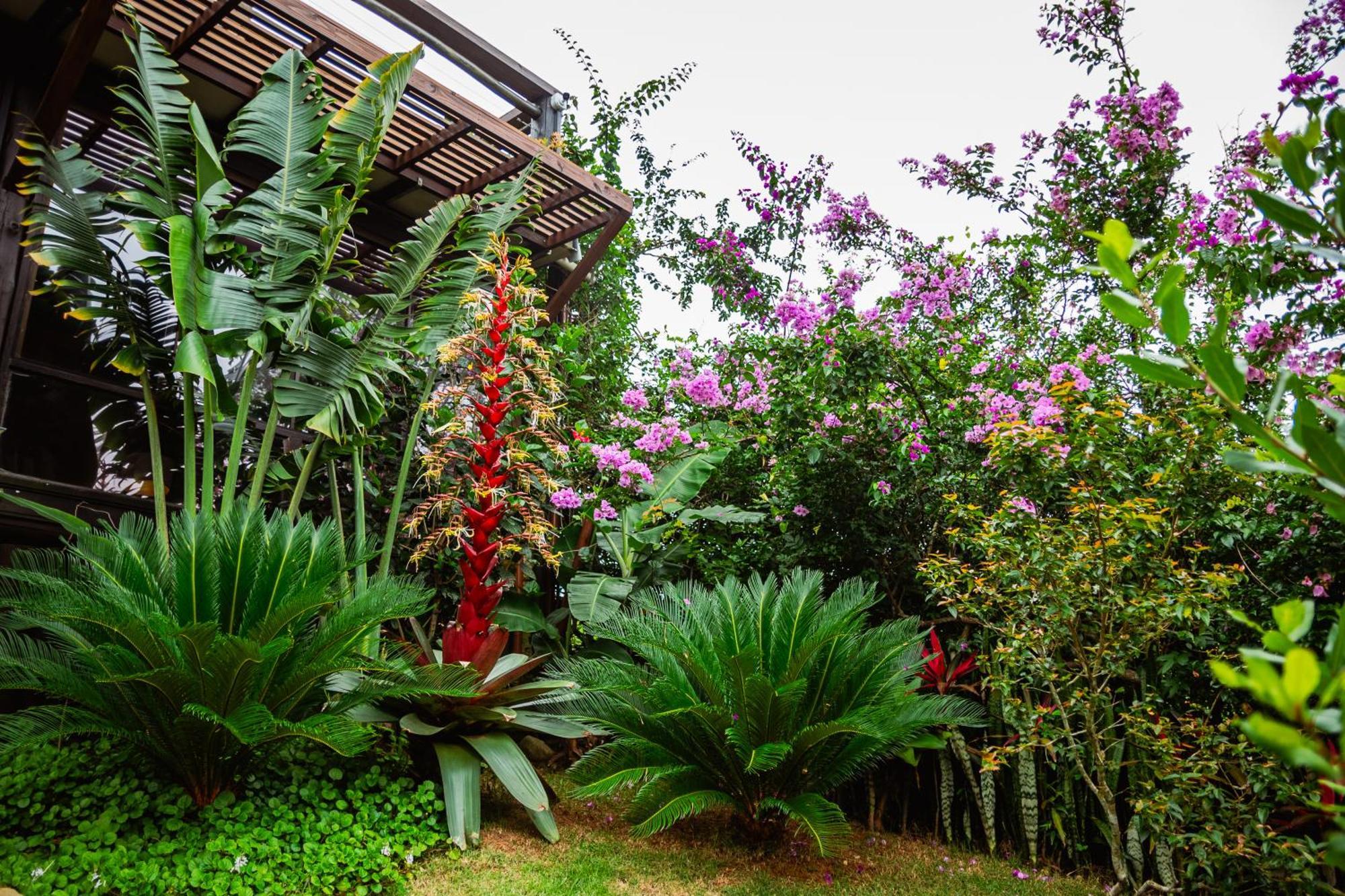 Ibiraquera Life Villa Praia do Rosa Exterior photo